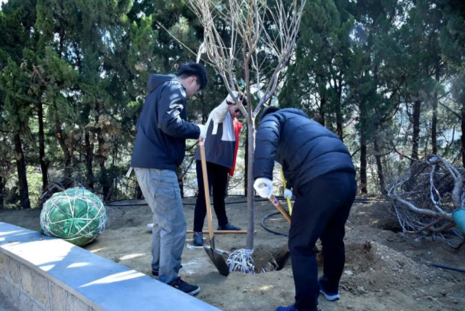 春風(fēng)十里，植下一片綠 | 瑞源控股集團(tuán)開展2023年植樹節(jié)系列活動(dòng)